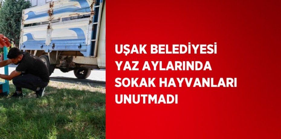 UŞAK BELEDİYESİ YAZ AYLARINDA SOKAK HAYVANLARI UNUTMADI
