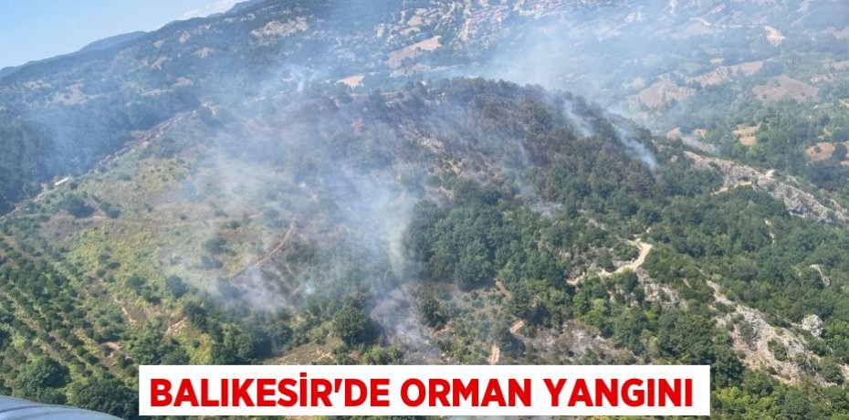 Balıkesir’de orman yangını