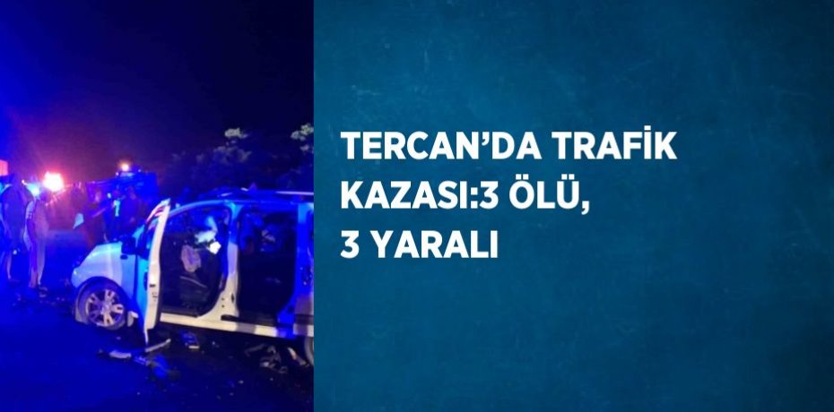 TERCAN’DA TRAFİK KAZASI:3 ÖLÜ, 3 YARALI