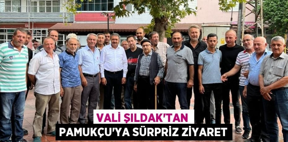 VALİ ŞILDAK'TAN PAMUKÇU'YA SÜRPRİZ ZİYARET
