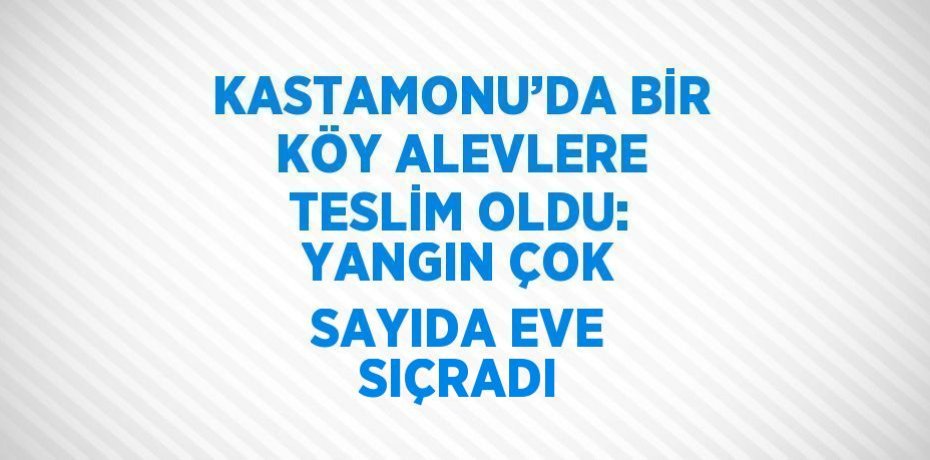 KASTAMONU’DA BİR KÖY ALEVLERE TESLİM OLDU: YANGIN ÇOK SAYIDA EVE SIÇRADI