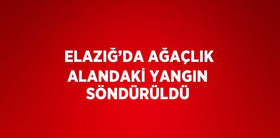 ELAZIĞ’DA AĞAÇLIK ALANDAKİ YANGIN SÖNDÜRÜLDÜ