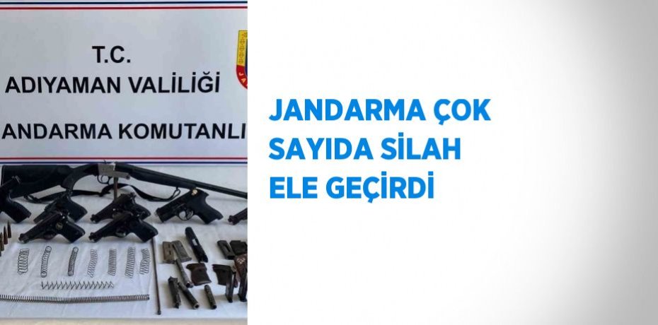 JANDARMA ÇOK SAYIDA SİLAH ELE GEÇİRDİ
