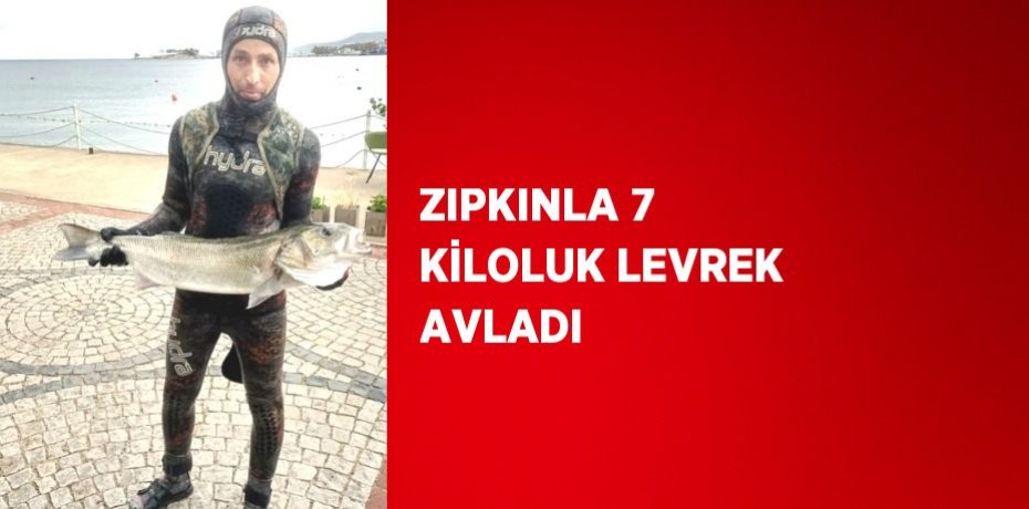 ZIPKINLA 7 KİLOLUK LEVREK AVLADI