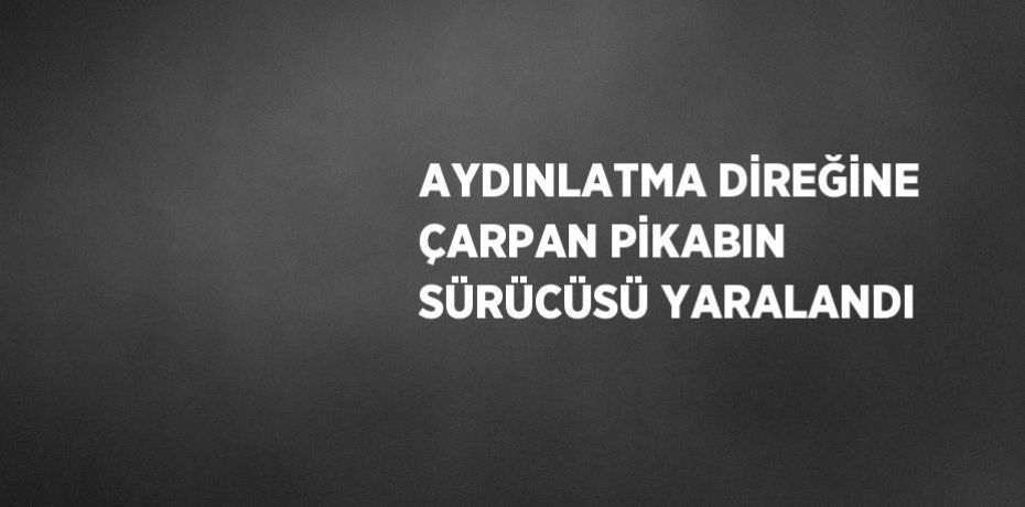 AYDINLATMA DİREĞİNE ÇARPAN PİKABIN SÜRÜCÜSÜ YARALANDI