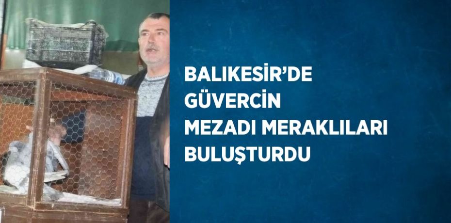 BALIKESİR’DE GÜVERCİN MEZADI MERAKLILARI BULUŞTURDU
