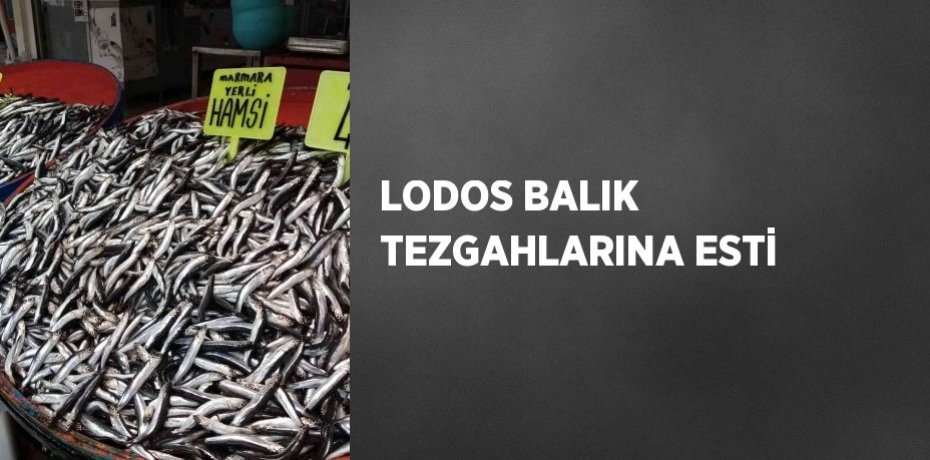 LODOS BALIK TEZGAHLARINA ESTİ