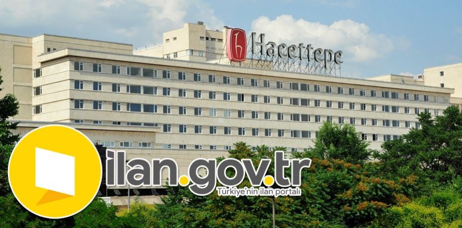 Hacettepe Üniversitesi 2 Sözleşmeli Bilişim Personeli Alacak
