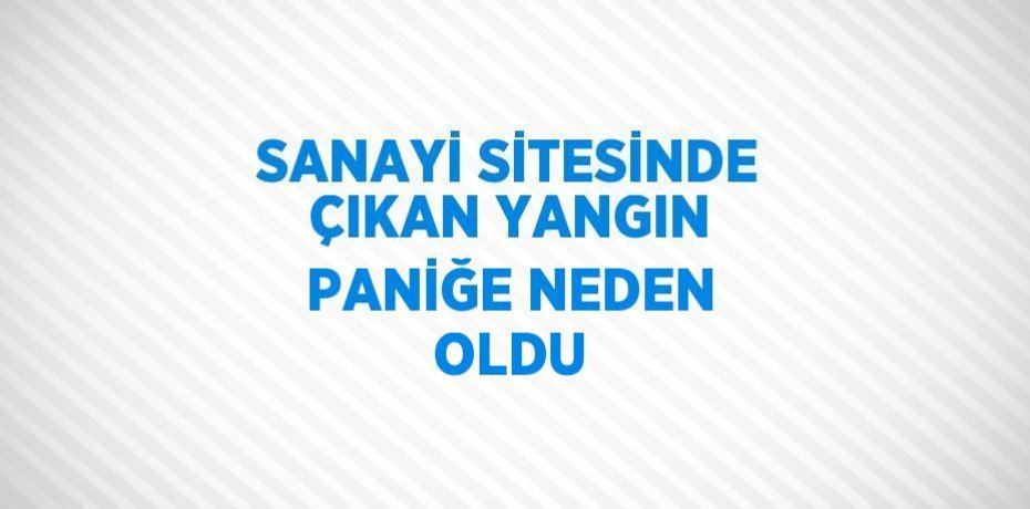 SANAYİ SİTESİNDE ÇIKAN YANGIN PANİĞE NEDEN OLDU