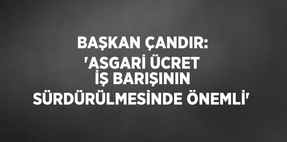 BAŞKAN ÇANDIR: 'ASGARİ ÜCRET İŞ BARIŞININ SÜRDÜRÜLMESİNDE ÖNEMLİ'