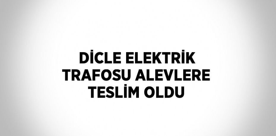 DİCLE ELEKTRİK TRAFOSU ALEVLERE TESLİM OLDU