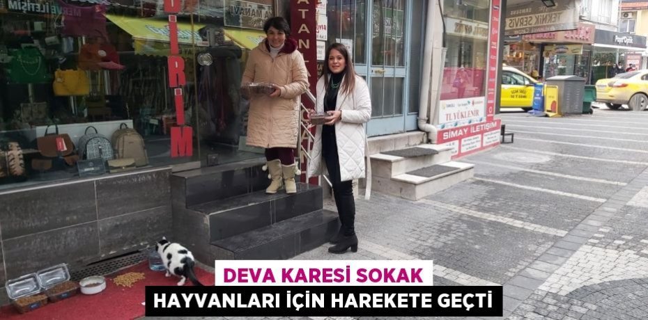 DEVA KARESİ SOKAK HAYVANLARI İÇİN HAREKETE GEÇTİ