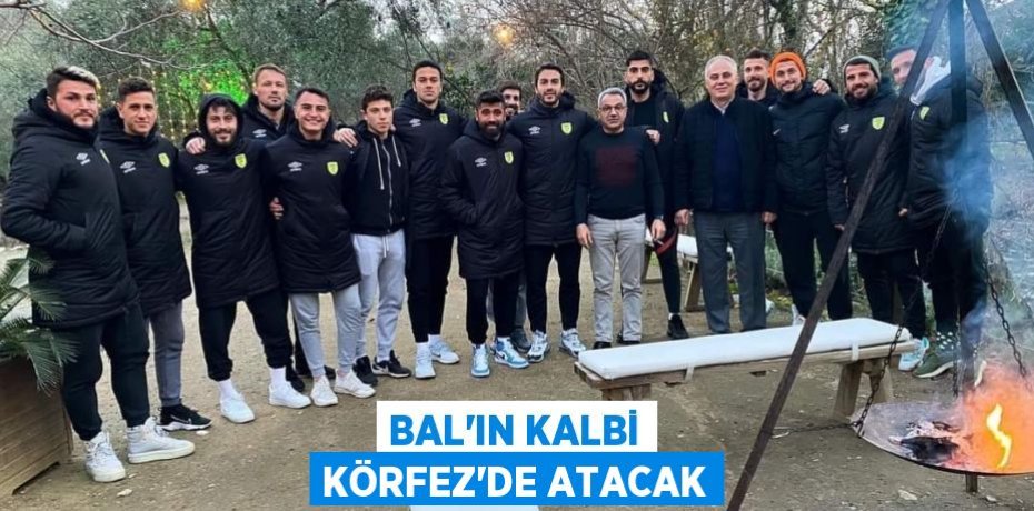 BAL’IN KALBİ KÖRFEZ’DE ATACAK