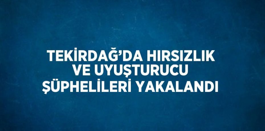 TEKİRDAĞ’DA HIRSIZLIK VE UYUŞTURUCU ŞÜPHELİLERİ YAKALANDI