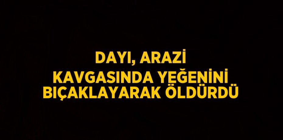 DAYI, ARAZİ KAVGASINDA YEĞENİNİ BIÇAKLAYARAK ÖLDÜRDÜ