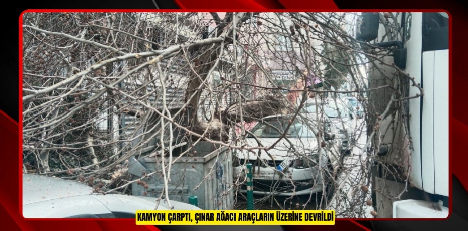 Kamyon çarptı, çınar ağacı araçların üzerine devrildi