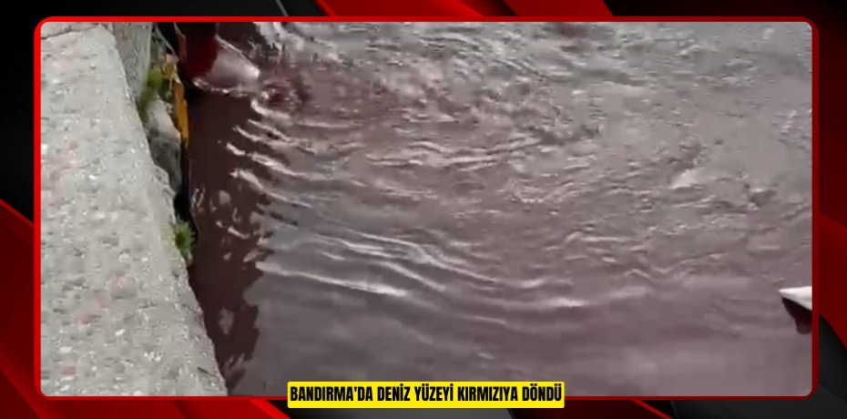 Bandırma'da deniz yüzeyi kırmızıya döndü