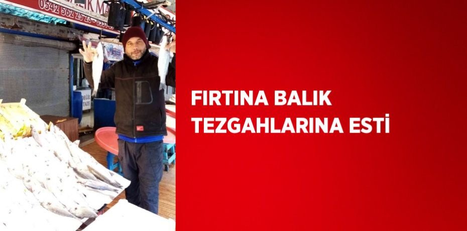 FIRTINA BALIK TEZGAHLARINA ESTİ