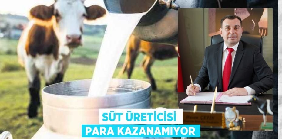SÜT ÜRETİCİSİ PARA KAZANAMIYOR