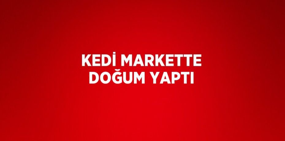 KEDİ MARKETTE DOĞUM YAPTI