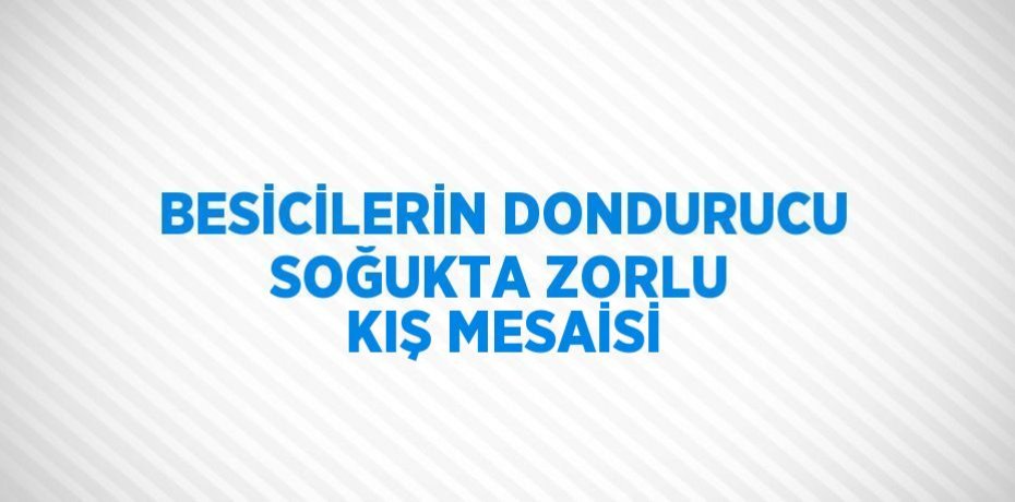 BESİCİLERİN DONDURUCU SOĞUKTA ZORLU KIŞ MESAİSİ