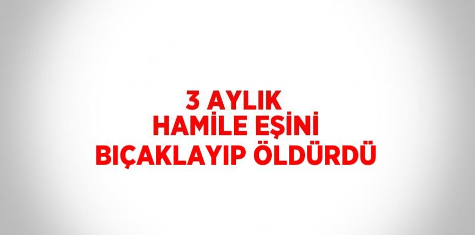 3 AYLIK HAMİLE EŞİNİ BIÇAKLAYIP ÖLDÜRDÜ