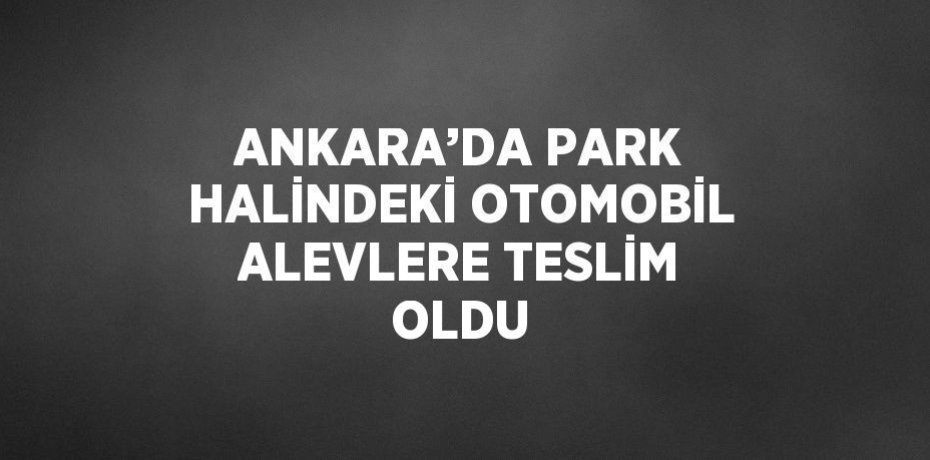 ANKARA’DA PARK HALİNDEKİ OTOMOBİL ALEVLERE TESLİM OLDU