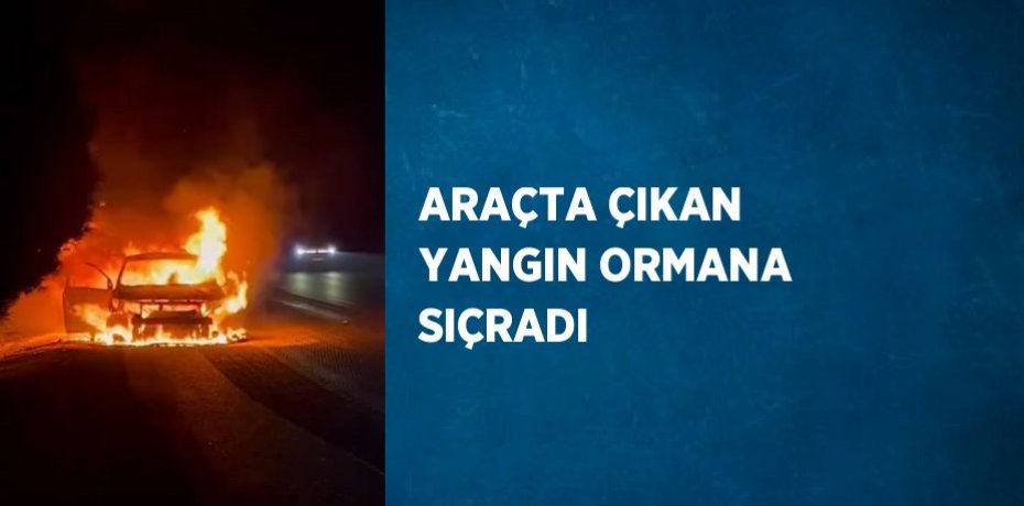 ARAÇTA ÇIKAN YANGIN ORMANA SIÇRADI