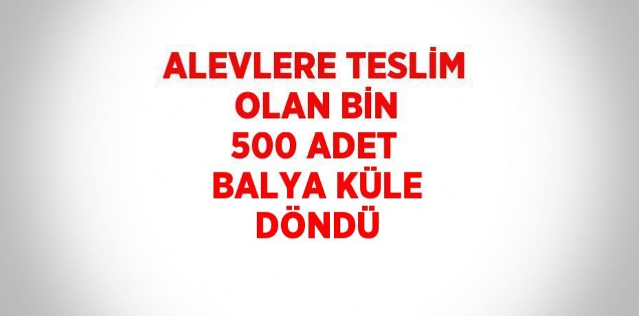 ALEVLERE TESLİM OLAN BİN 500 ADET BALYA KÜLE DÖNDÜ