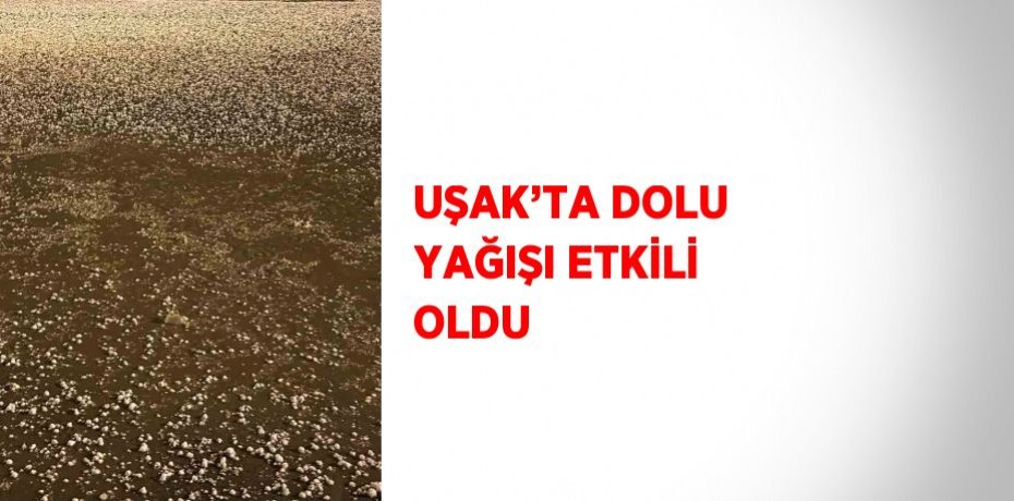 UŞAK’TA DOLU YAĞIŞI ETKİLİ OLDU