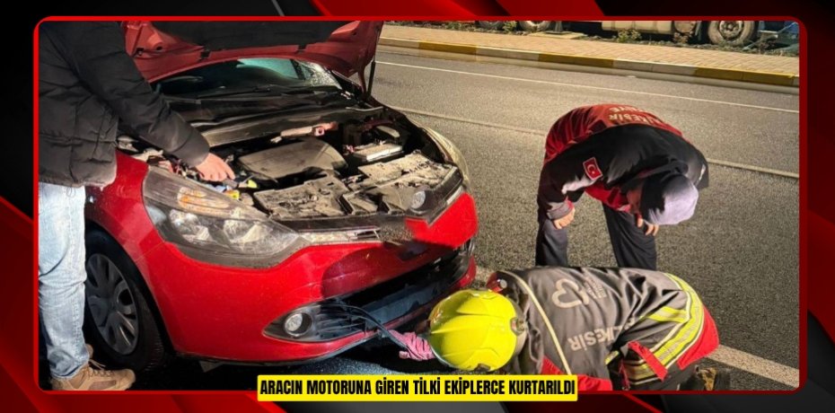 Aracın motoruna giren tilki ekiplerce kurtarıldı