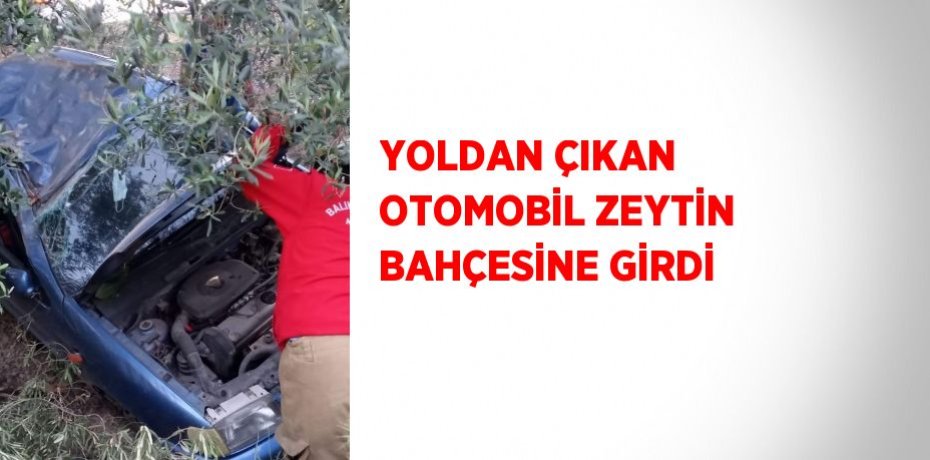 YOLDAN ÇIKAN OTOMOBİL ZEYTİN BAHÇESİNE GİRDİ