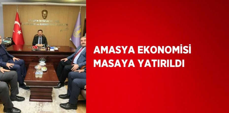 AMASYA EKONOMİSİ MASAYA YATIRILDI
