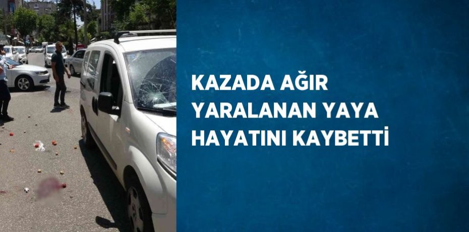 KAZADA AĞIR YARALANAN YAYA HAYATINI KAYBETTİ