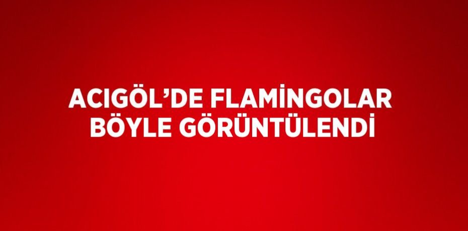 ACIGÖL’DE FLAMİNGOLAR BÖYLE GÖRÜNTÜLENDİ