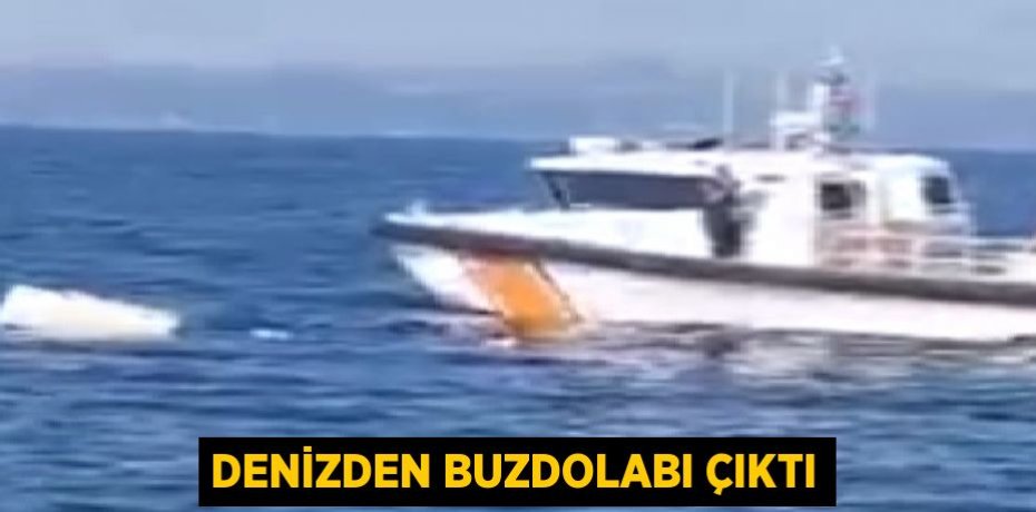 DENİZDEN BUZDOLABI ÇIKTI
