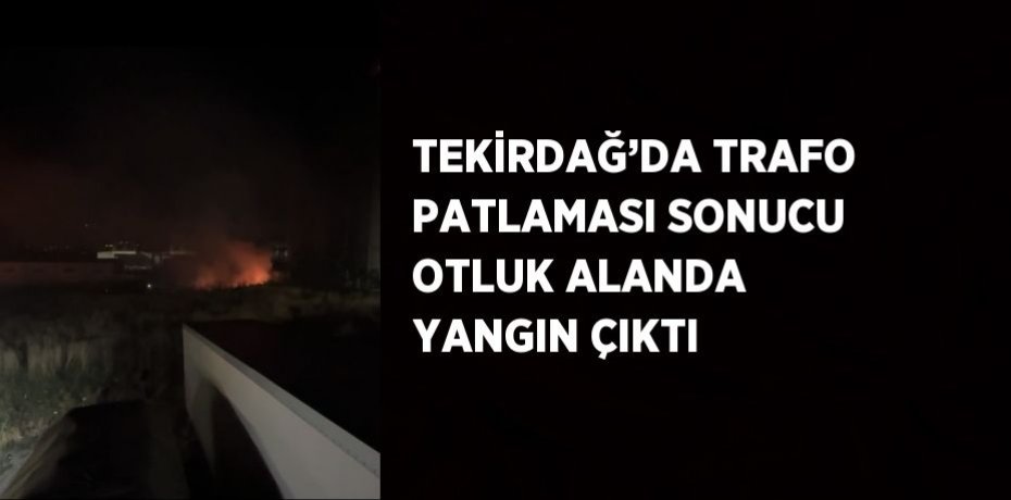 TEKİRDAĞ’DA TRAFO PATLAMASI SONUCU OTLUK ALANDA YANGIN ÇIKTI