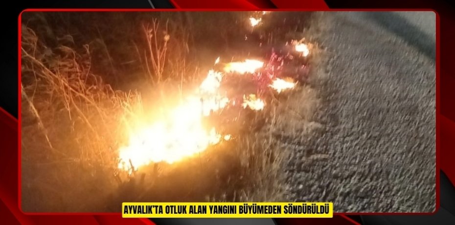 Ayvalık’ta otluk alan yangını büyümeden söndürüldü  