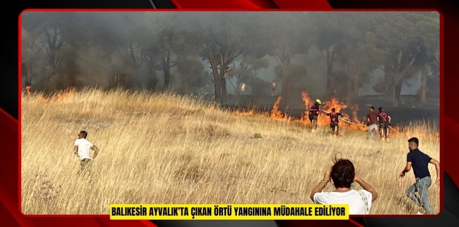 Balıkesir Ayvalık'ta çıkan örtü yangınına müdahale ediliyor 