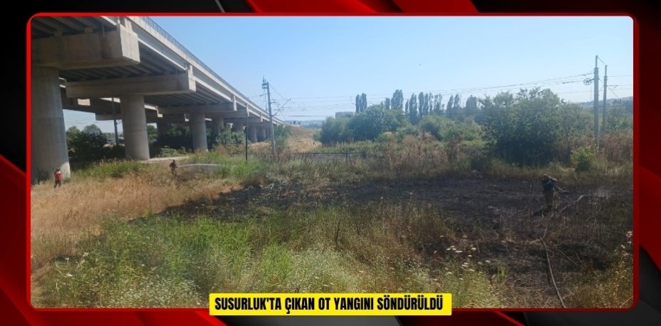 Susurluk'ta çıkan ot yangını söndürüldü  