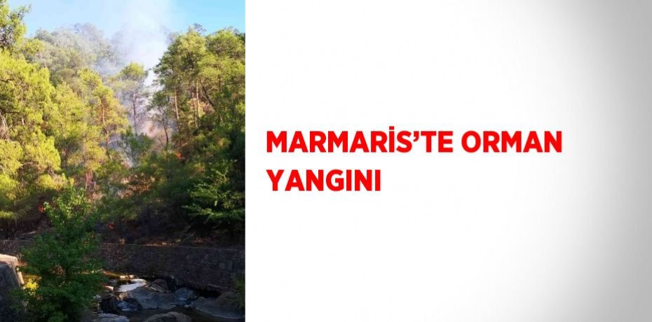 MARMARİS’TE ORMAN YANGINI