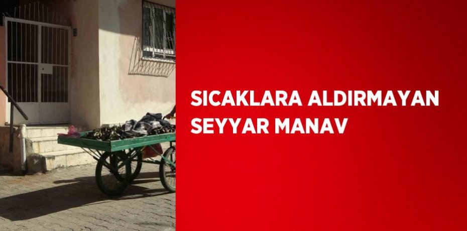 SICAKLARA ALDIRMAYAN SEYYAR MANAV