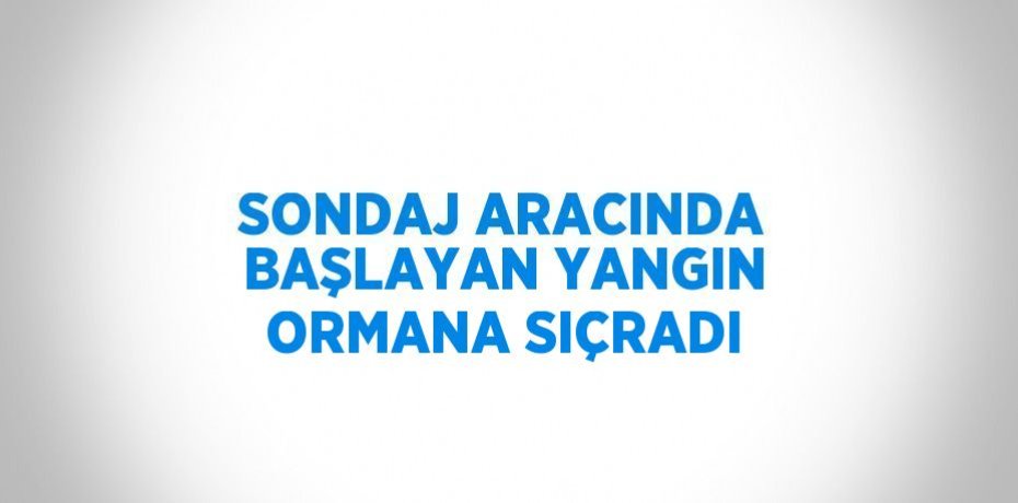 SONDAJ ARACINDA BAŞLAYAN YANGIN ORMANA SIÇRADI