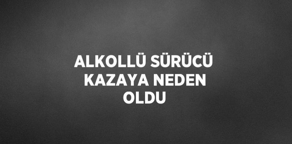 ALKOLLÜ SÜRÜCÜ KAZAYA NEDEN OLDU