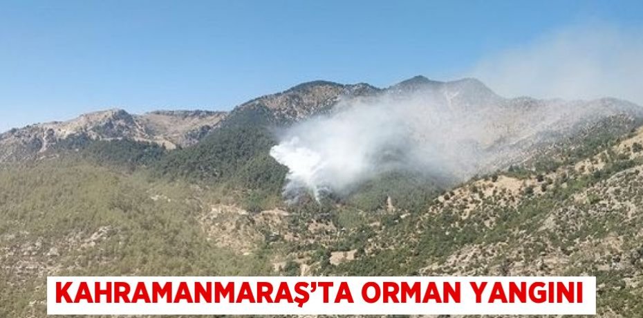 KAHRAMANMARAŞ’TA ORMAN YANGINI