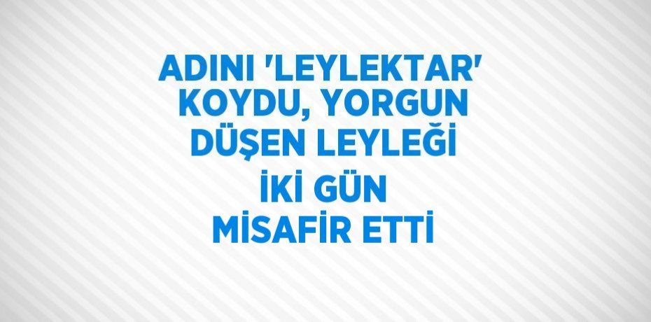 ADINI 'LEYLEKTAR' KOYDU, YORGUN DÜŞEN LEYLEĞİ İKİ GÜN MİSAFİR ETTİ