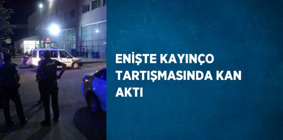 ENİŞTE KAYINÇO TARTIŞMASINDA KAN AKTI