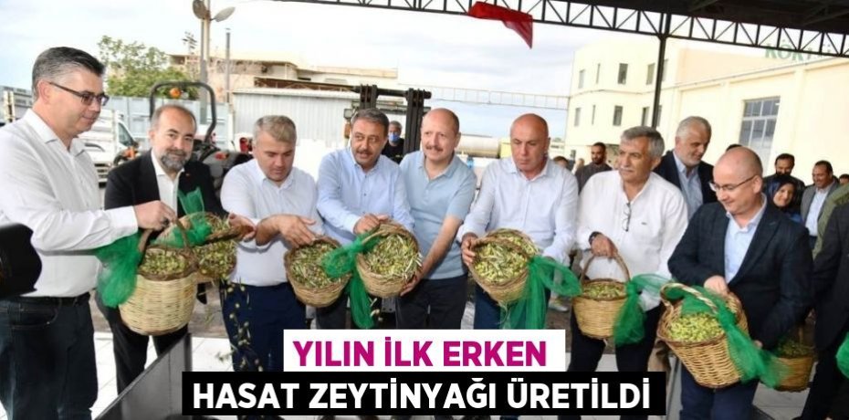YILIN İLK ERKEN HASAT ZEYTİNYAĞI ÜRETİLDİ