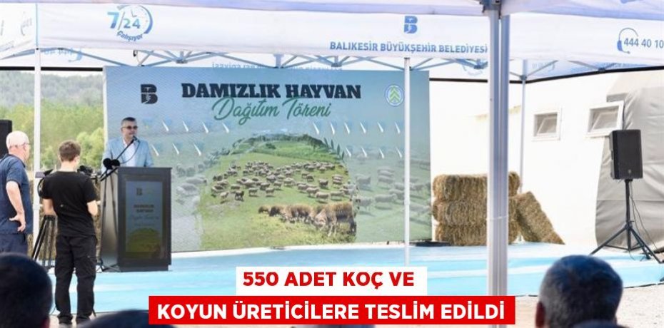 550 Adet Koç ve Koyun üreticilere teslim edildi