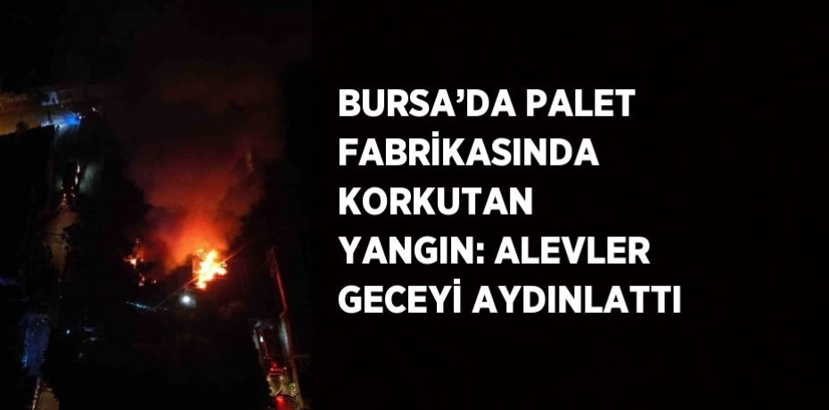BURSA’DA PALET FABRİKASINDA KORKUTAN YANGIN: ALEVLER GECEYİ AYDINLATTI